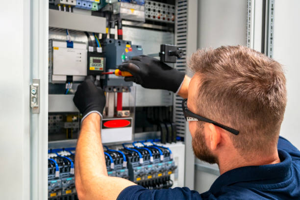 Best Electric Panel Repair  in Sebewaing, MI