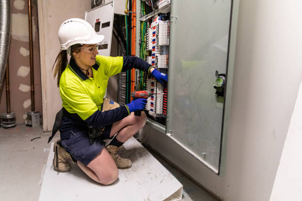 Best Electric Panel Repair  in Sebewaing, MI