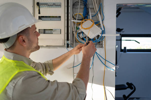 Best Electrical System Inspection  in Sebewaing, MI